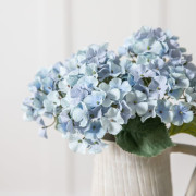 Hydrangea Stem - Blue pk of 6 